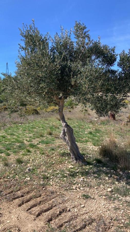 Le Relais De Tamaroque Hotel Portel-des-Corbieres Bagian luar foto